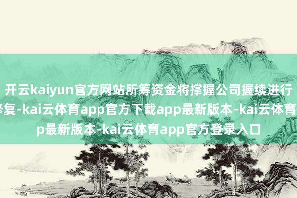 开云kaiyun官方网站所筹资金将撑握公司握续进行临床考试和家具修复-kai云体育app官方下载app最新版本-kai云体育app官方登录入口